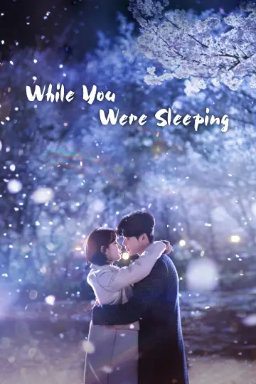 Poster for the TV series "While You Were Sleeping" #1391595