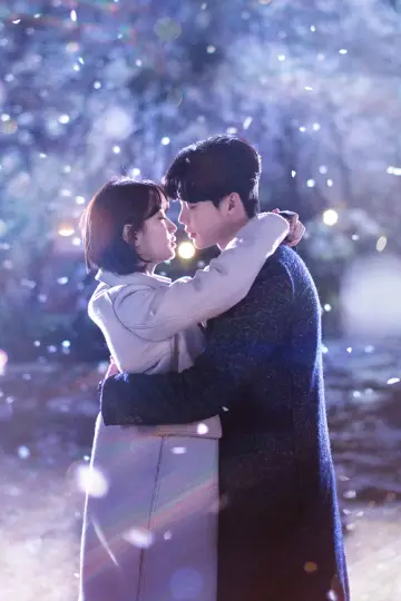 Poster for the TV series "While You Were Sleeping" #1391600