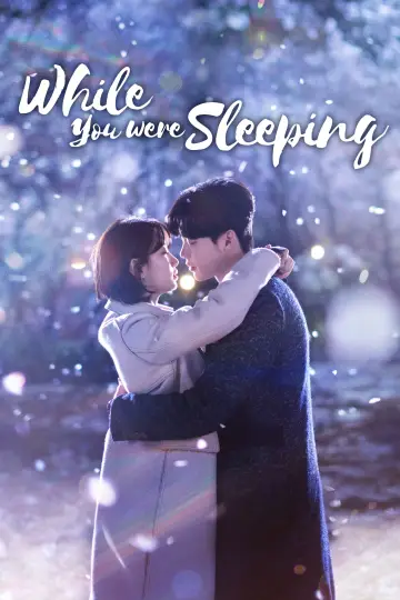 Poster for the TV series "While You Were Sleeping" #1391602