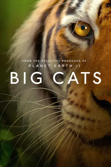 Poster for the TV series "Big Cats" #1604372