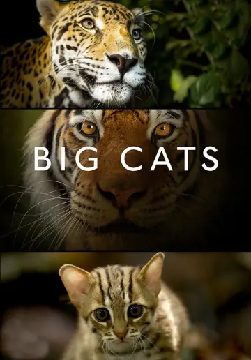 Poster for the TV series "Big Cats" #1604374