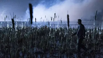 Backdrop for the TV series "Succession" #1295744