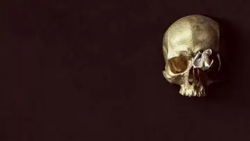 Backdrop for the TV series "The Plague" #1467818