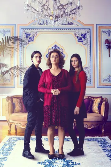 Poster for the TV series "Mrs. Fazilet and Her Daughters" #1422800
