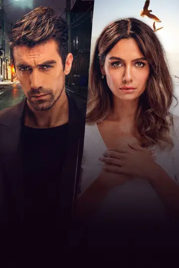 Price Of Passion poster
