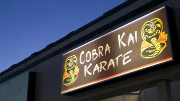 Backdrop for the TV series "Cobra Kai" #1292457