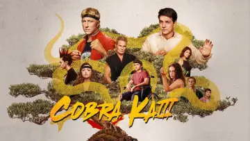 Backdrop for the TV series "Cobra Kai" #1292478