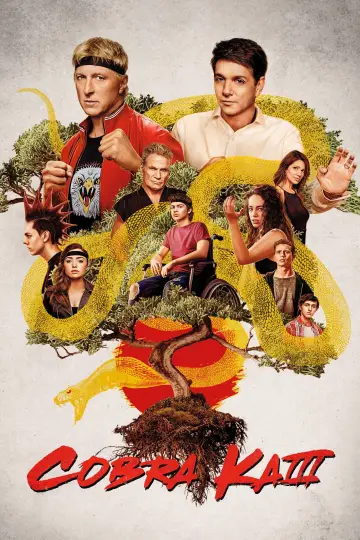 Poster for the TV series "Cobra Kai" #1292514
