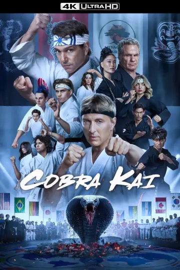 Poster for the TV series "Cobra Kai" #1292521