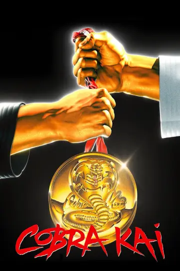 Poster for the TV series "Cobra Kai" #1292526