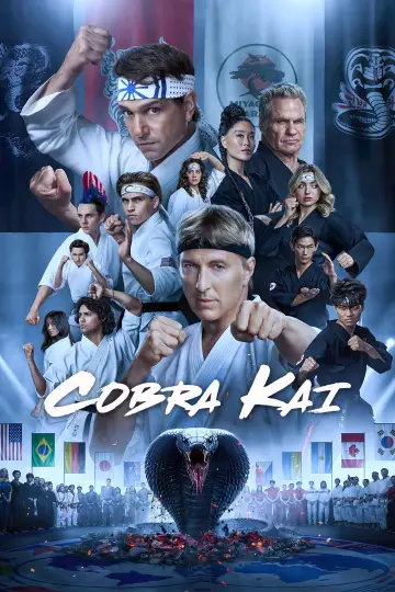 Poster for the TV series "Cobra Kai" #1292534