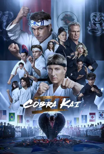 Poster for the TV series "Cobra Kai" #1292544