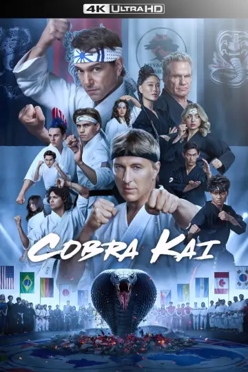Poster for the TV series "Cobra Kai" #1292545