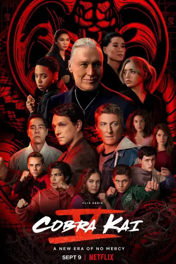 Poster for the TV series "Cobra Kai" #1292558