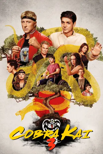 Poster for the TV series "Cobra Kai" #1292564