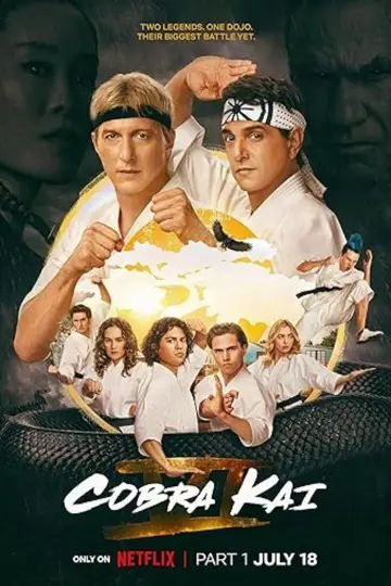 Poster for the TV series "Cobra Kai" #1292566