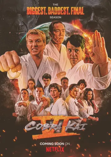 Poster for the TV series "Cobra Kai" #1292590