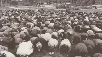 Backdrop for the TV series "Wild Wild Country" #1461033