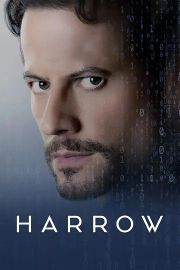 Poster for the TV series "Harrow" #1394868