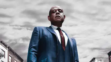 Backdrop for the TV series "Godfather of Harlem" #1333774