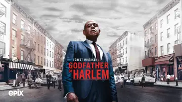 Backdrop for the TV series "Godfather of Harlem" #1333782