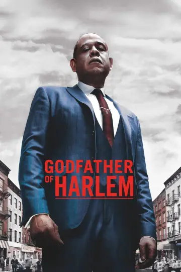 Poster for the TV series "Godfather of Harlem" #1333813