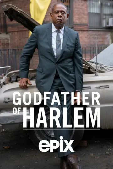 Poster for the TV series "Godfather of Harlem" #1333814