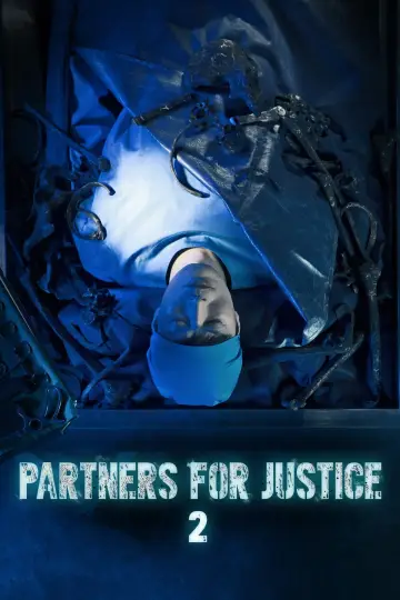 Poster for the TV series "Partners for Justice" #1399988