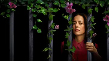 Backdrop for the TV series "The House of Flowers" #1449087