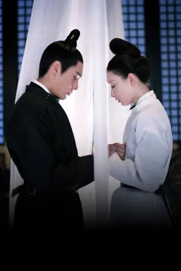 Poster for the TV series "The Rise of Phoenixes" #1448807