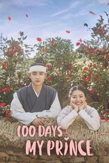 Poster for the TV series "100 Days My Prince" #1560123