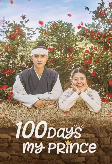 Poster for the TV series "100 Days My Prince" #1560124