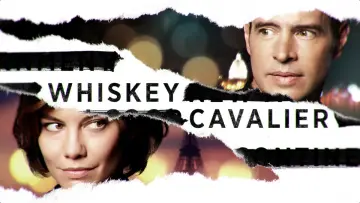Backdrop for the TV series "Whiskey Cavalier" #1401575