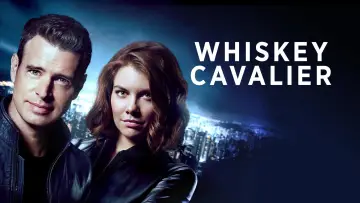 Backdrop for the TV series "Whiskey Cavalier" #1401577