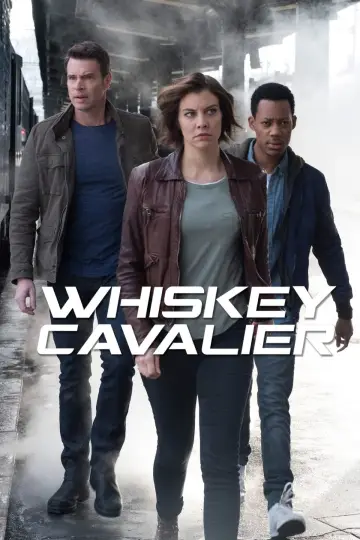 Poster for the TV series "Whiskey Cavalier" #1401585