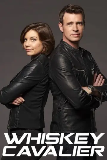Poster for the TV series "Whiskey Cavalier" #1401588