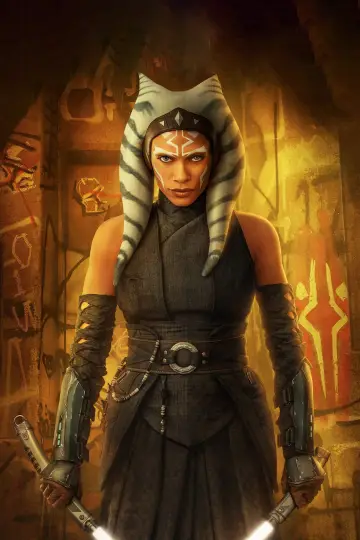 Poster for the TV series "The Mandalorian" #1281906