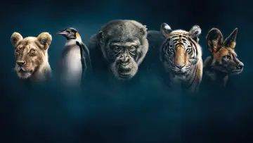 Backdrop к сериалу "Dynasties" #1490097