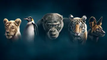 Backdrop к сериалу "Dynasties" #1490101