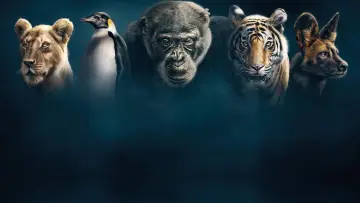 Backdrop к сериалу "Dynasties" #1490102