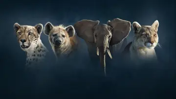 Backdrop к сериалу "Dynasties" #1490110