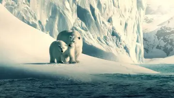 Backdrop к сериалу "Our Planet" #1454594
