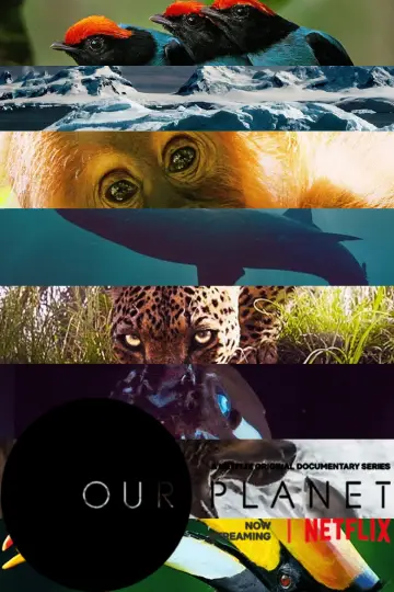 Poster к сериалу "Our Planet" #1454628