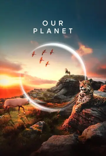 Poster к сериалу "Our Planet" #1454642