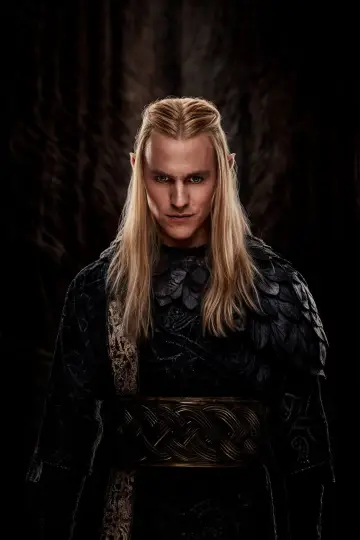 Poster for the TV series "The Lord of the Rings: The Rings of Power" #1254954