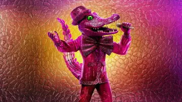 Backdrop к сериалу "The Masked Singer" #1346141