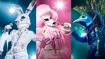 Backdrop к сериалу "The Masked Singer" #1346145