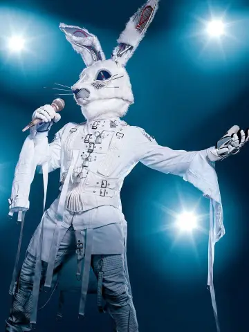 Poster к сериалу "The Masked Singer" #1346216