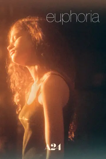 Poster for the TV series "Euphoria" #1255118