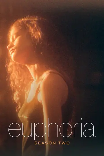 Poster for the TV series "Euphoria" #1269245